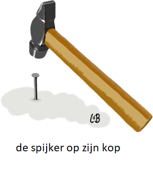 26%20spijker%20op%20zn%20kop%20slaan.png