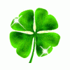 Shamrock